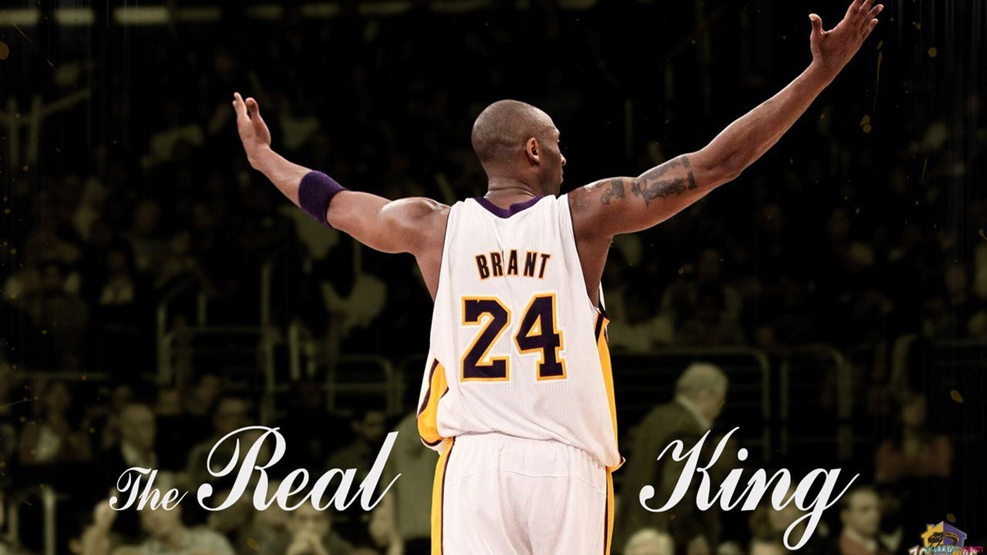 布鲁诺·卡博克洛在NBA夏季联赛中表现亮眼,布鲁诺-卡博克洛